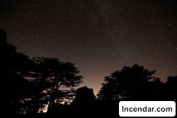 US Senate committee aims to regulate UFO information